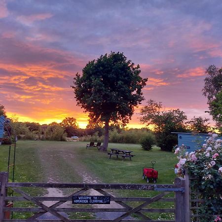 Hopgarden Glamping Luxury Shepherds Huts Wadhurst Exteriör bild