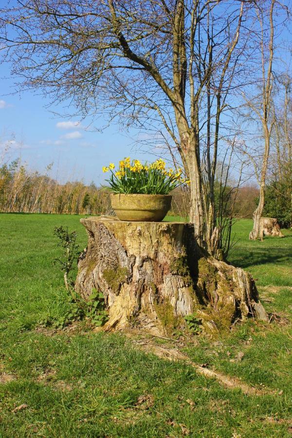 Hopgarden Glamping Luxury Shepherds Huts Wadhurst Exteriör bild