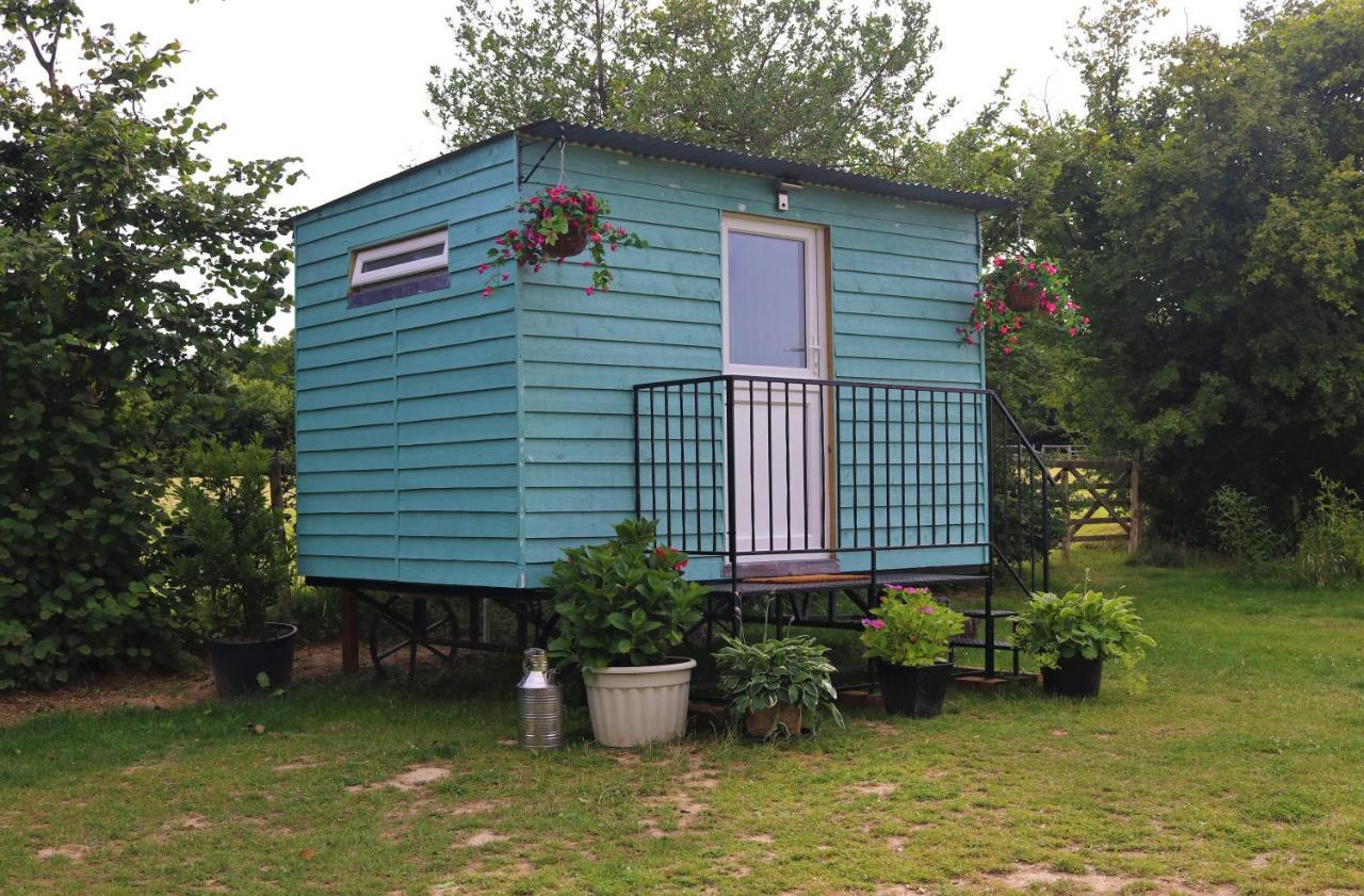 Hopgarden Glamping Luxury Shepherds Huts Wadhurst Exteriör bild