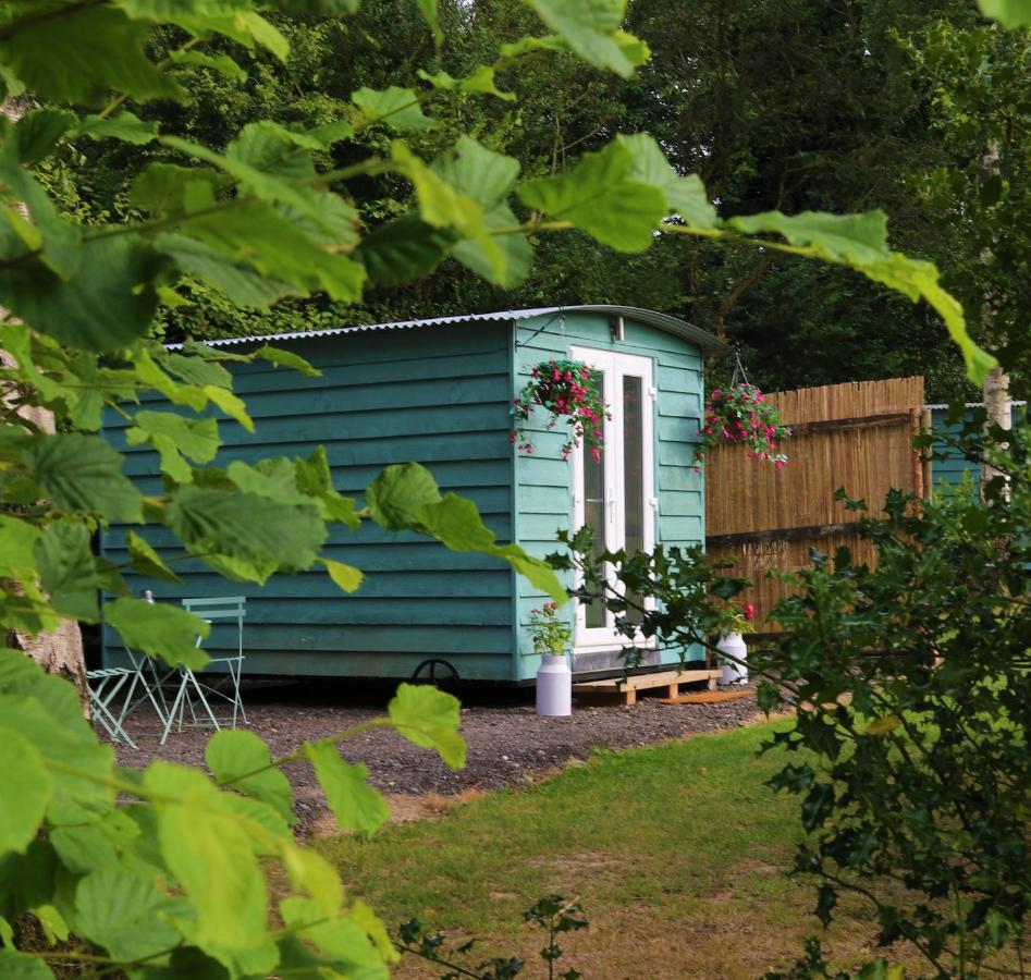 Hopgarden Glamping Luxury Shepherds Huts Wadhurst Exteriör bild