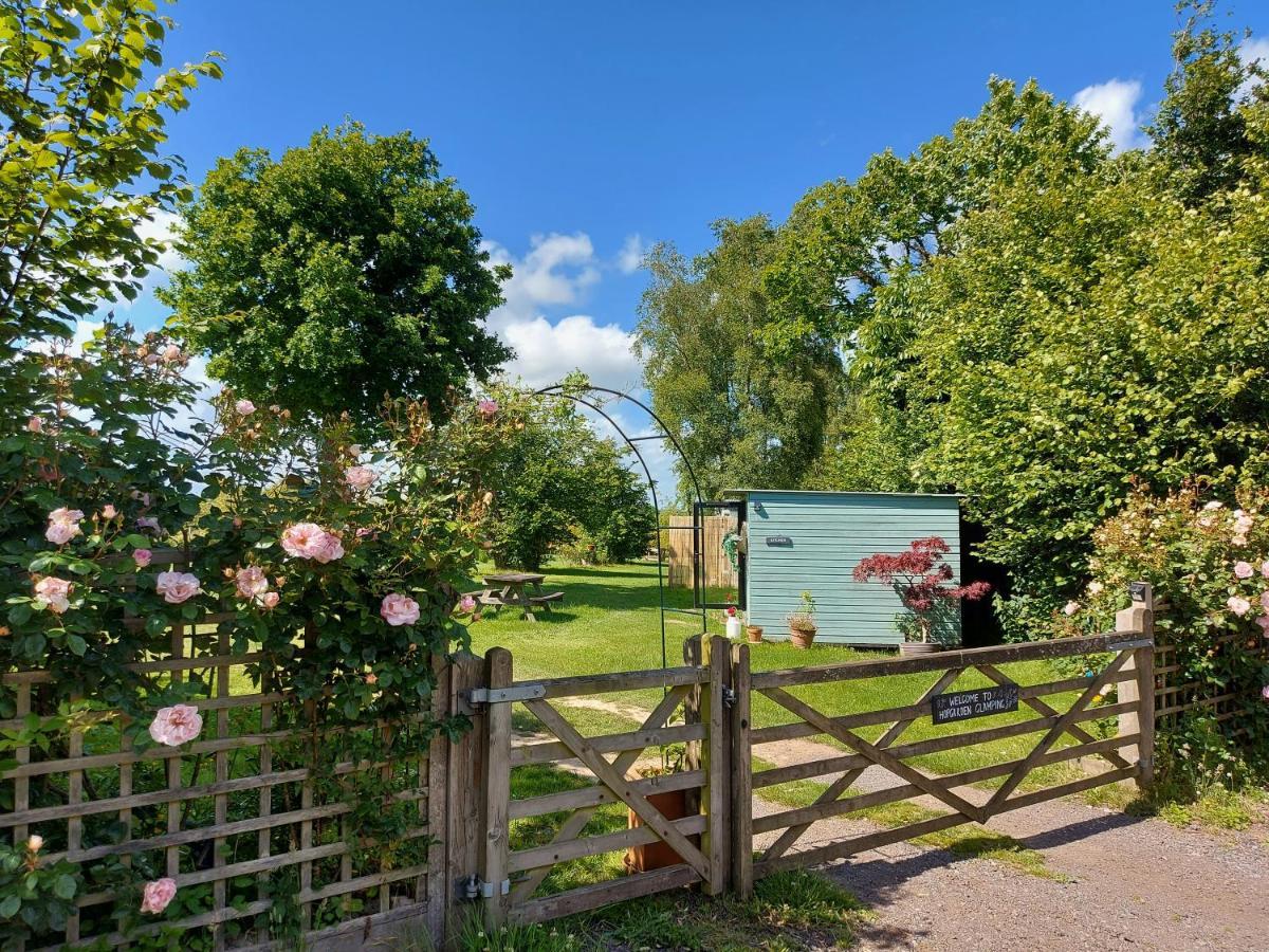 Hopgarden Glamping Luxury Shepherds Huts Wadhurst Exteriör bild