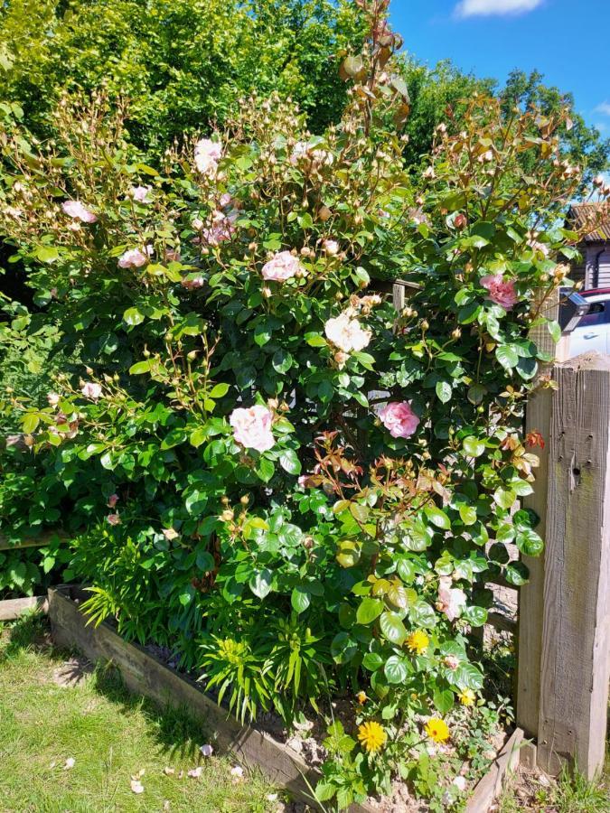 Hopgarden Glamping Luxury Shepherds Huts Wadhurst Exteriör bild