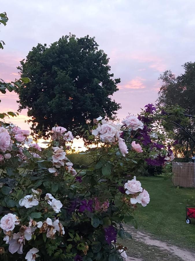Hopgarden Glamping Luxury Shepherds Huts Wadhurst Exteriör bild