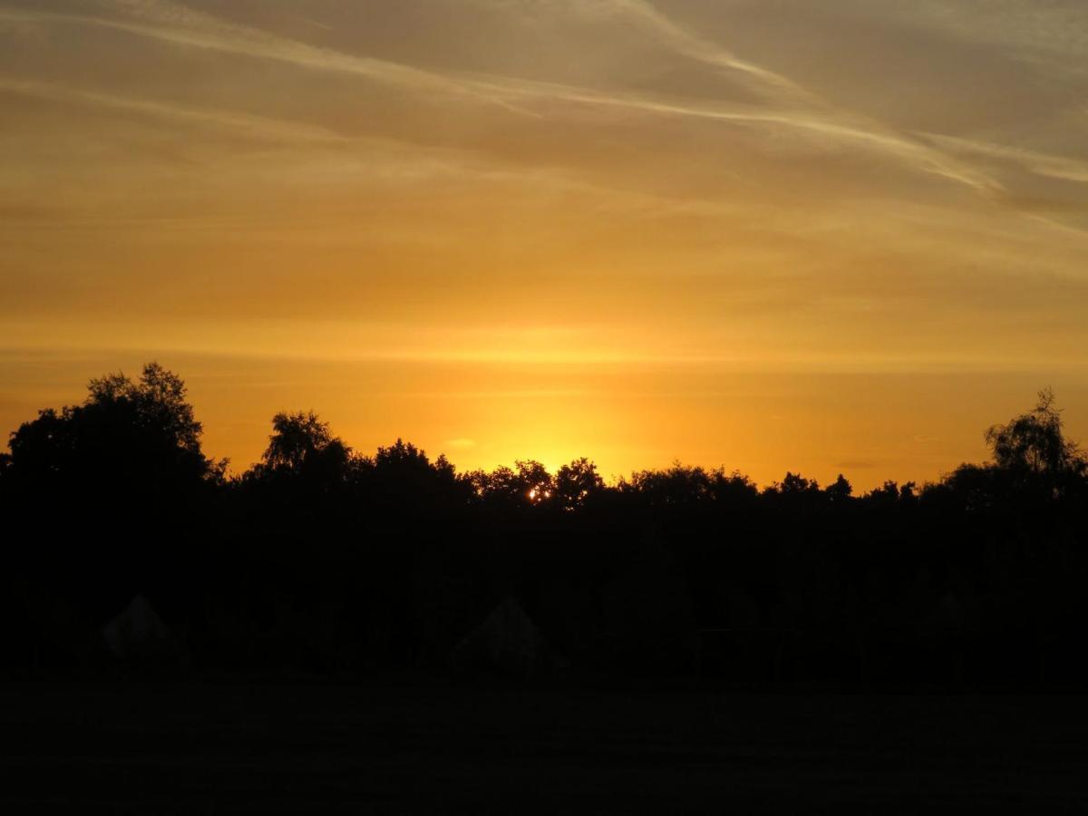 Hopgarden Glamping Luxury Shepherds Huts Wadhurst Exteriör bild